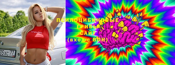 винт Балахна