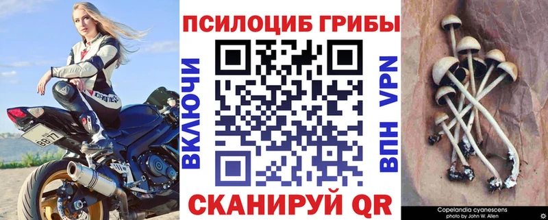 где купить наркотик Белово omg зеркало Псилоцибиновые грибы Magic Shrooms